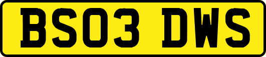 BS03DWS