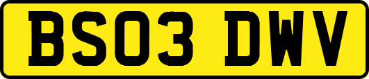 BS03DWV