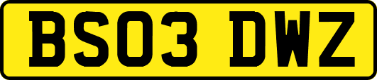 BS03DWZ