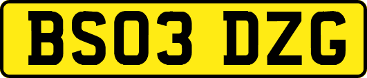 BS03DZG
