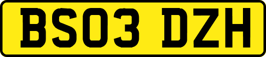 BS03DZH