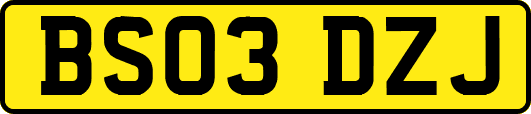 BS03DZJ
