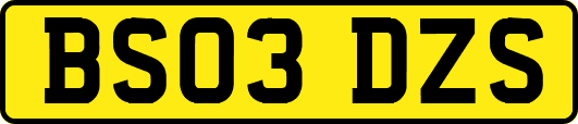 BS03DZS
