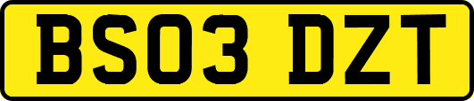 BS03DZT