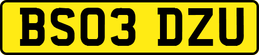 BS03DZU