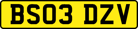 BS03DZV