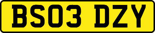 BS03DZY