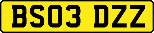 BS03DZZ