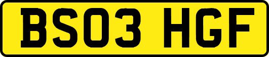 BS03HGF
