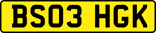 BS03HGK