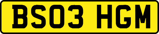 BS03HGM