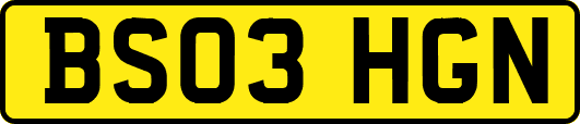 BS03HGN