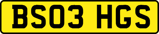 BS03HGS