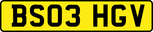 BS03HGV