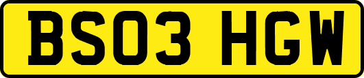 BS03HGW