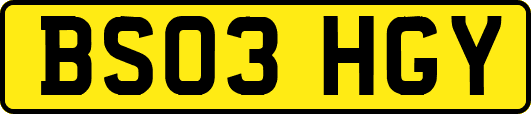 BS03HGY