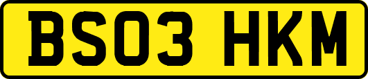 BS03HKM