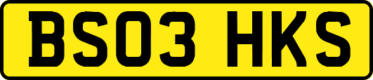 BS03HKS