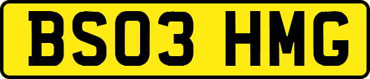 BS03HMG