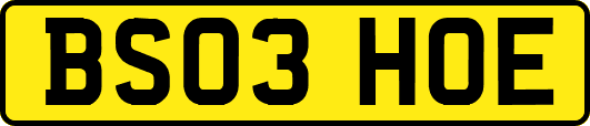 BS03HOE