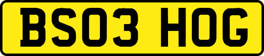 BS03HOG