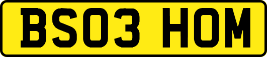 BS03HOM