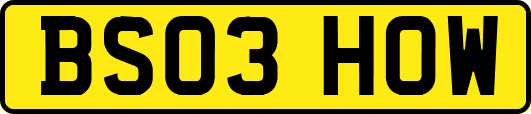 BS03HOW