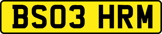 BS03HRM