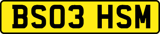 BS03HSM