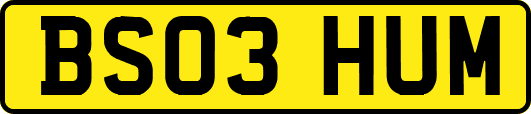 BS03HUM