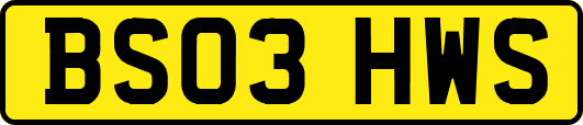 BS03HWS