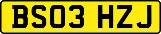 BS03HZJ