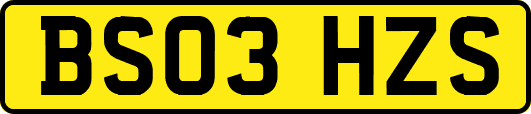 BS03HZS