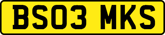 BS03MKS