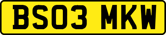 BS03MKW