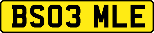 BS03MLE