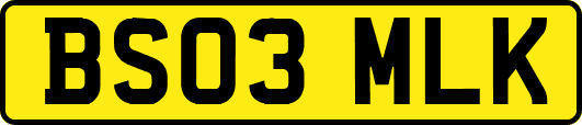 BS03MLK