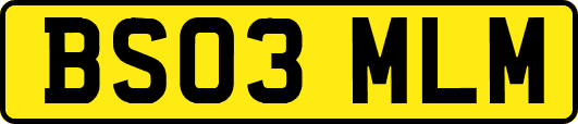 BS03MLM
