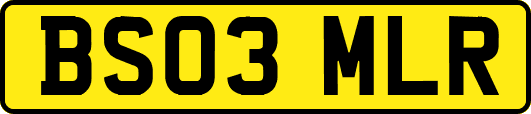 BS03MLR