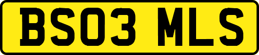 BS03MLS