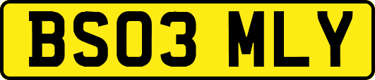 BS03MLY