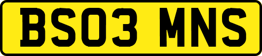 BS03MNS