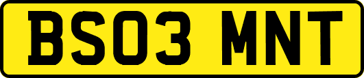 BS03MNT