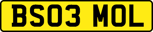 BS03MOL