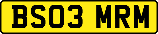 BS03MRM