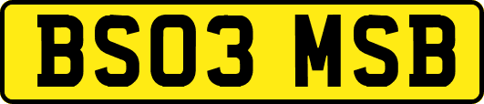 BS03MSB