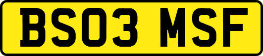 BS03MSF