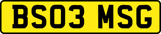 BS03MSG