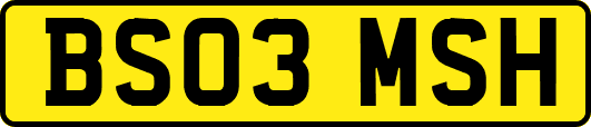 BS03MSH