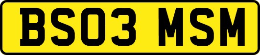 BS03MSM